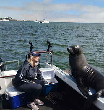 Dolphin and Seals Cruise